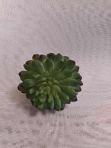Dirbtinas sukulentas
