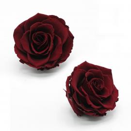 Mieganti stabilizuota rožė, 7x5cm (T. raudona)