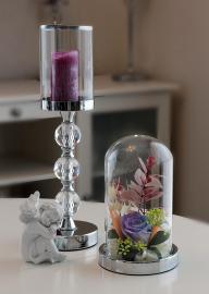 Miegančios stabilizuotos violetinės-žydros rožės kompozicija stikliniame gaubte, 13x24cm