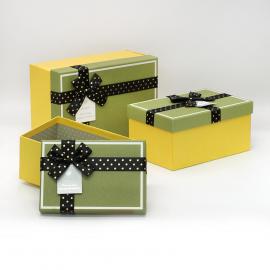 Stačiakampės dėžutės su kaspinėliu 3 dalių (geltona-žalia)