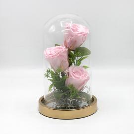 Miegančių 3vnt stabilizuotų rožinių rožių kompozicija stikliniame gaubte, 13x24cm