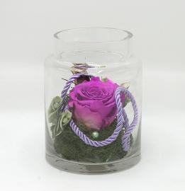 Miegančios stabilizuotos tamsiai rožinės rožės kompozicija stikliniame inde, 11,5x15cm