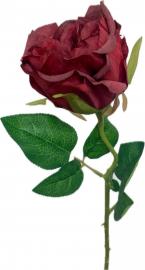 Rožės šaka „Pure Elegance“ raudona, 52 cm