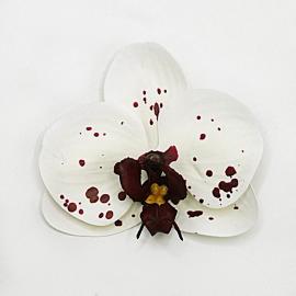 Orchidėjos žiedai lateksiniai (24 vnt. x 0.45€)(8 x 9 cm)(kreminiai)