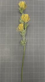 Dirbtinė gėlės šaka, ilgis 69 cm (geltona)