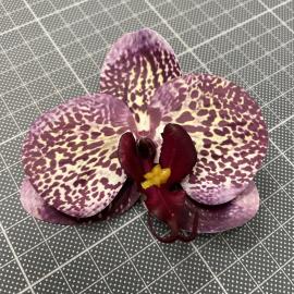 Orchidėjos žiedai lateksiniai (24 vnt. x 0.45€)(8 x 9 cm)(violetiniai)