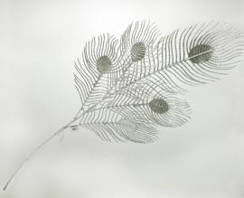 Dirbtiniai blizgantys plunksnos lapai 87 cm (sidabriniai)