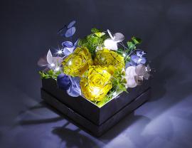 Miegančių stabilizuotų 3vnt geltonų rožių kompozicija dėžutėje su led girlianda, 15x13cm
