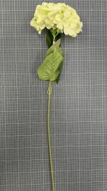 Dirbtinė hortenzijos šaka, ilgis 77cm (šv. žalia)