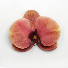 Orchidėjos žiedai lateksiniai (24 vnt. x 0.70€)(10 x 11 cm)(rožiniai)