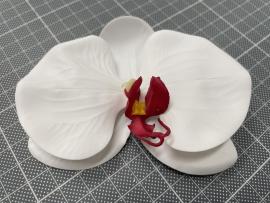 Orchidėjos žiedai lateksiniai (24 vnt. x 0.70€)(10 x 11 cm)(balti)