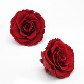 Mieganti stabilizuota rožė, 7x5cm (Raudona)
