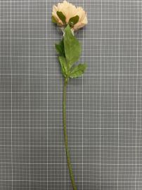 Dirbtinė gėlės šaka, ilgis 50cm (kreminė)
