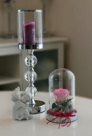 Miegančios stabilizuotos rožinės rožės kompozicija stikliniame gaubte, 12x19cm