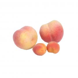 Dekoratyviniai putoplasto persikai (dydžio pasirinkimas)