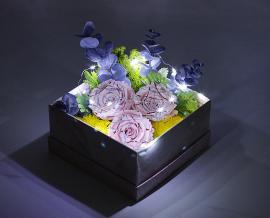 Miegančių stabilizuotų 3vnt rožinių rožių kompozicija dėžutėje su led girlianda, 16,5x16cm
