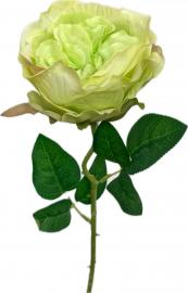 Rožės šaka „Pure Elegance“ žalia, 52 cm