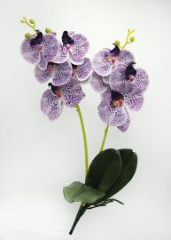 Orchidėjų šakelės su lapais 55cm (violetinė-balta)