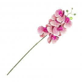 Orchidėjos šaka su 7 žiedais, ilgis 79cm (gelsva, rožinė)