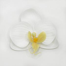 Orchidėjos žiedai lateksiniai (24 vnt. x 0.45€)(8 x 9 cm)(balti)