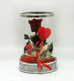 Miegančios stabilizuotos raudonos rožės kompozicija stiklinėje žvakidėje, 14x21cm