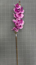 Orchidėjos šaka su 9 žiedais, ilgis 100cm (rožinė-šv. rožinė)
