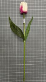 Dirbtinė tulpė 48 cm (kreminė + t. rožinė)
