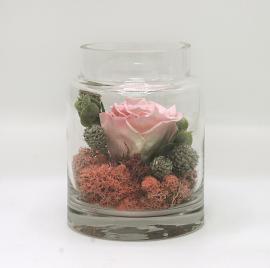 Miegančios stabilizuotos rožinės rožės kompozicija stikliniame inde, 11,5x15cm