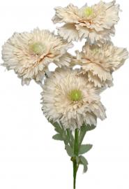 Šaka „Flora Harmony“ kreminė, 60 cm