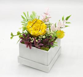 Miegančios stabilizuotos geltonos rožės kompozicija zomšinėje dėžutėje, 13x15cm