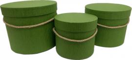 Cilindrinės dėžutės 3 dalių su rankenėle (žalios)