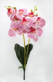 Orchidėjų šakelės su lapais 55cm (rožinė-kreminė)