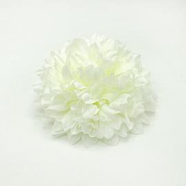 12 Chrizantemos žiedų pakuotė, kreminiai - 6,5 cm, Ø 13 cm