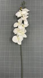 Dirbtinė orchidėja 91 cm (balta)