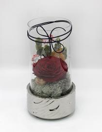 Miegančios stabilizuotos bordo rožės kompozicija stiklinėje žvakidėje, 15x27cm
