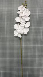 Orchidėjos šaka 99cm (balta)