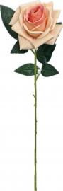 Rožės šaka „Rožių Šilkas“ kreminė/rožinė, 61 cm