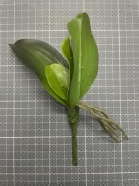 Orchidėjos lapai 20 cm