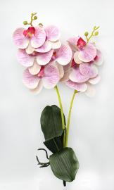 Orchidėjų šakelės su lapais 55cm (rožinė-kreminė)