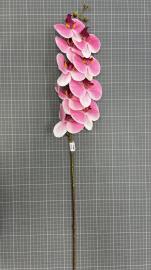 Orchidėjos šaka su 9 žiedais, ilgis 100cm (rožinė-balta)