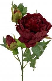 Bijūnas 3 žiedų, bordo - 66 cm