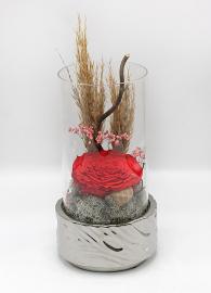 Miegančios stabilizuotos raudonos rožės kompozicija stiklinėje žvakidėje, 15x27cm