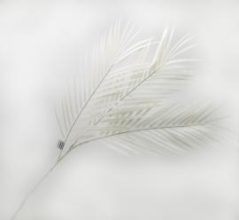 Dirbtiniai blizgantys palmės lapai 81 cm (balti)