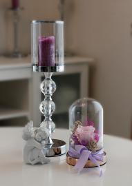 Miegančios stabilizuotos rožinės rožės kompozicija stikliniame gaubte, 12x19cm