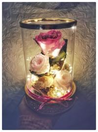 Miegančių stabilizuotų rožinių rožių kompozicija stiklinėje žvakidėje su led girlianda, 14x21cm