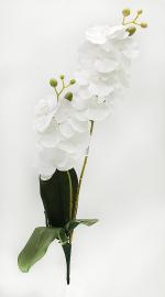 Smulkių orchidėjų šakelės su lapais 58cm (balta)