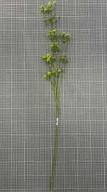 Dirbtinė gėlės šaka, ilgis 69 cm (geltona - žalia)