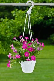 Pakabinamas plastmasinis gėlės vazonas su stovu ir kabliu
