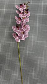 Orchidėjos šaka su 9 žiedais, ilgis 100cm (violetinė-balta)