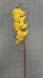 Orchidėjos šaka su 9 žiedais, ilgis 100cm (geltona)